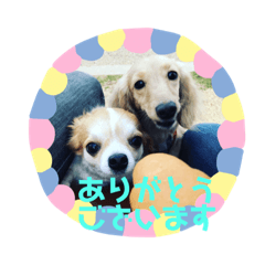 [LINEスタンプ] 夢有とこゆき fetchpriority=high