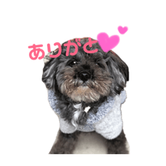 [LINEスタンプ] ソラのスタンプ！！ 