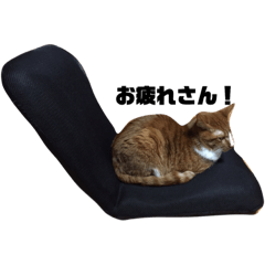 [LINEスタンプ] きなことあずきのスタンプ