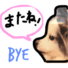 [LINEスタンプ] れみのスタンプ 