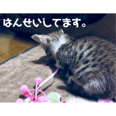 [LINEスタンプ] るぅとらぶ。(敬語)