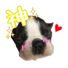 [LINEスタンプ] デコさんスタンプ 