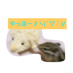 [LINEスタンプ] シマリスの祭ちゃん