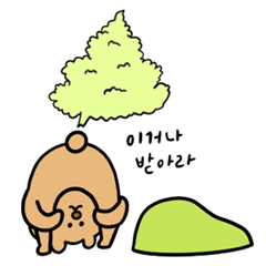 [LINEスタンプ] たねくまの意外とファンキーな一日 