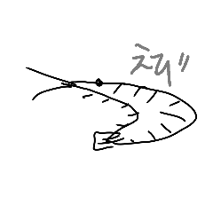 [LINEスタンプ] えび！えび！えび！