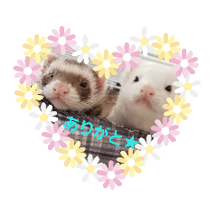 [LINEスタンプ] FRRM❤ 