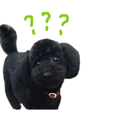 [LINEスタンプ] mochi111 