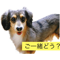 [LINEスタンプ] トニーワン