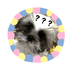 [LINEスタンプ] タタちゃん fetchpriority=high