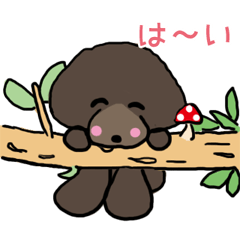 [LINEスタンプ] にこにこ杏