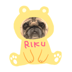 [LINEスタンプ] リクさんスタンプ