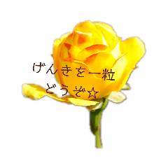 [LINEスタンプ] 彩り豊かなバラの花♡ステキ女子の言葉☆