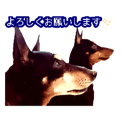 [LINEスタンプ] といまんず① 