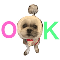 [LINEスタンプ] かわいいつるちゃん 