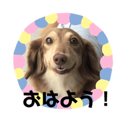 [LINEスタンプ] ククルとルーク