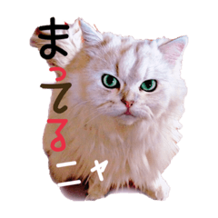 [LINEスタンプ] ティナちゃんの癒されスタンプ fetchpriority=high