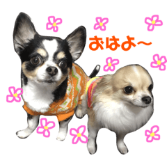 [LINEスタンプ] れおとらい 