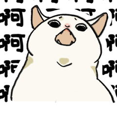 [LINEスタンプ] 子猫のチキン 
