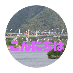 [LINEスタンプ] 桜江大橋と鯉のぼり