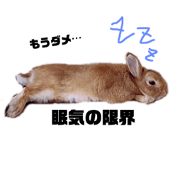 [LINEスタンプ] グリくんとラテくん。時々クロくん 