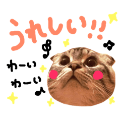 [LINEスタンプ] 折れ耳姉弟らみ＆れお②