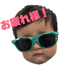 [LINEスタンプ] 楓大と飼い猫 