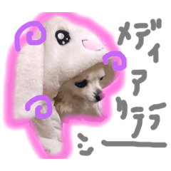 [LINEスタンプ] ほーじゃんぐ2 