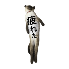 [LINEスタンプ] まっくろくろくろすけ 