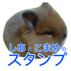 [LINEスタンプ] しあとこまめのスタンプ 