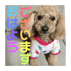 [LINEスタンプ] まろんすたんぷ5