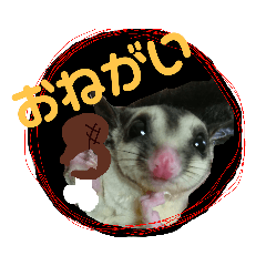 [LINEスタンプ] モモンガ（ふぅた）の日常
