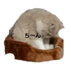 [LINEスタンプ] ミント1 