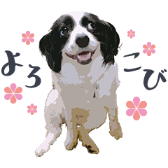 [LINEスタンプ] きつね顔パピヨンのスタンプ 
