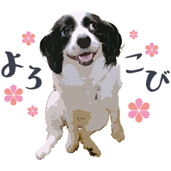 [LINEスタンプ] きつね顔パピヨンのスタンプの画像（メイン）