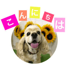 [LINEスタンプ] 我が家の愛犬 全員集合！ 