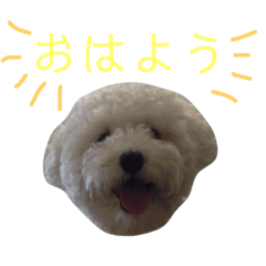 [LINEスタンプ] 僕はサシャ。 