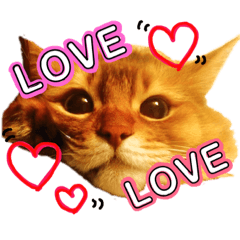 [LINEスタンプ] あるちゃんのすたんぷ 