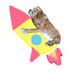 [LINEスタンプ] アメリカンコッカースパニエルゆずちゃん2