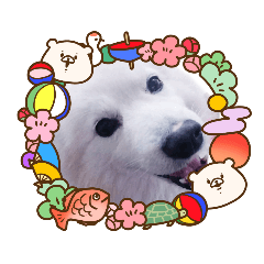 [LINEスタンプ] フォックスドッグライフ 