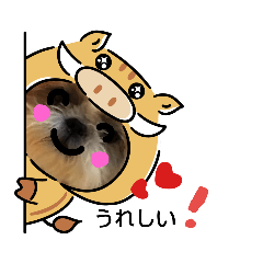 [LINEスタンプ] シーズーの道草2