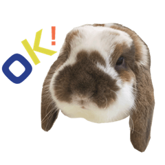 [LINEスタンプ] 毎日たーたん2