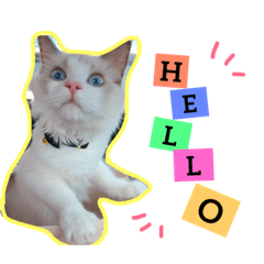 [LINEスタンプ] のびのびRURUちゃん 