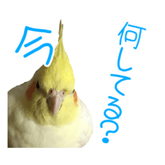 [LINEスタンプ] 使える！日常スタンプ(ゆかいな仲間たち2)