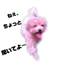 [LINEスタンプ] 音々
