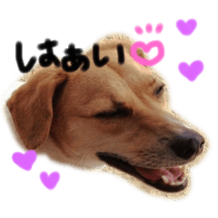 [LINEスタンプ] 音と愉快な仲間たち 