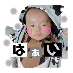 [LINEスタンプ] とらち 