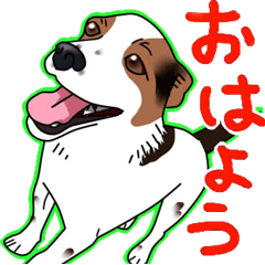 [LINEスタンプ] 愛犬【陸】＆【りゅう】のスタンプ 