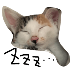 [LINEスタンプ] きなこのスタンプ1 
