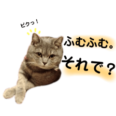 [LINEスタンプ] こつぶスタンプ〜日常編〜