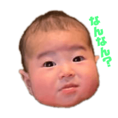 [LINEスタンプ] いぶすた1 fetchpriority=high